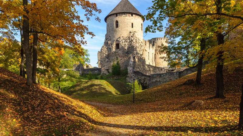 Cēsis Castle