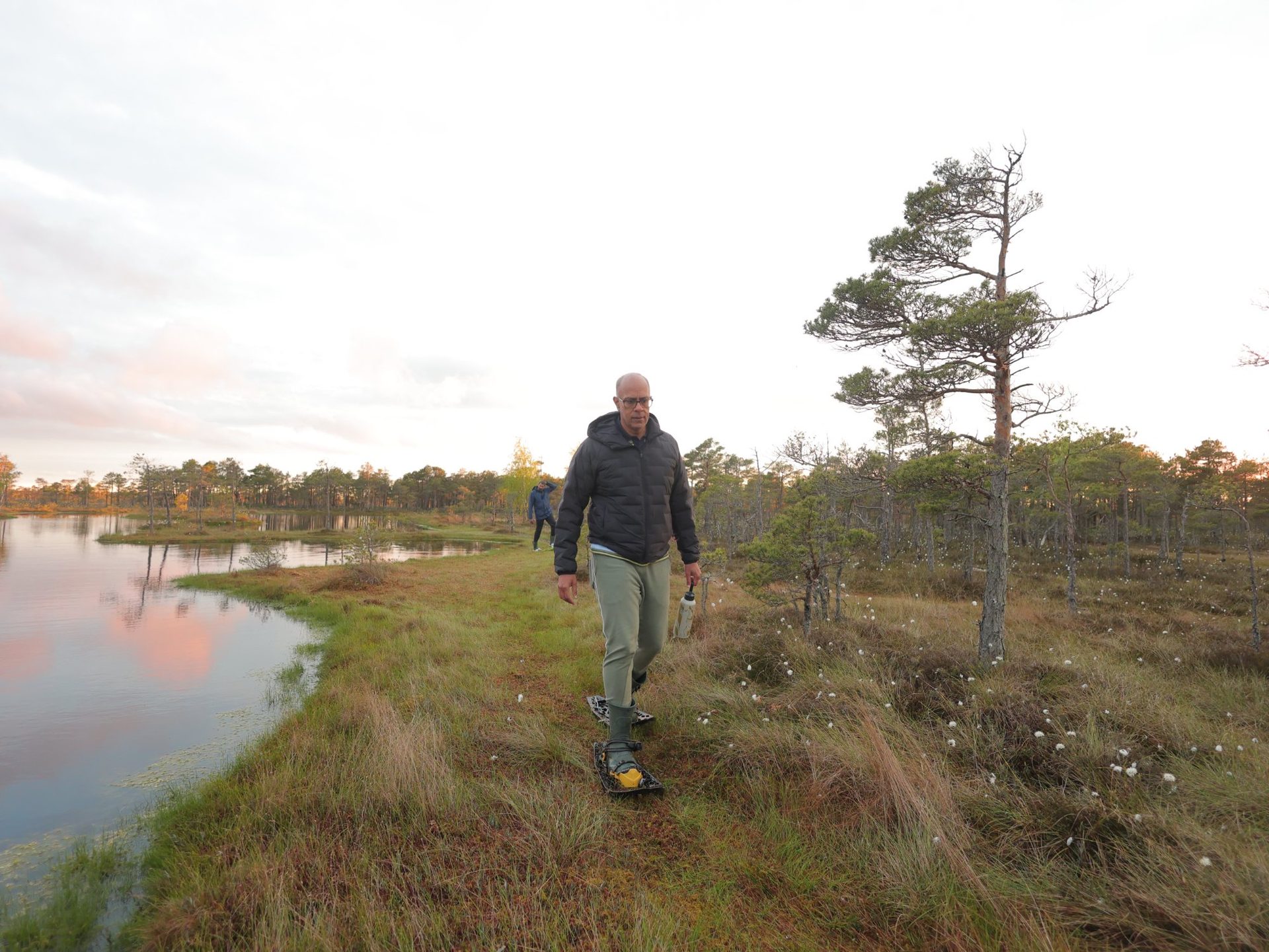 A guest walking off the boardwalk in bog shoes beside a pink-lit bog pool