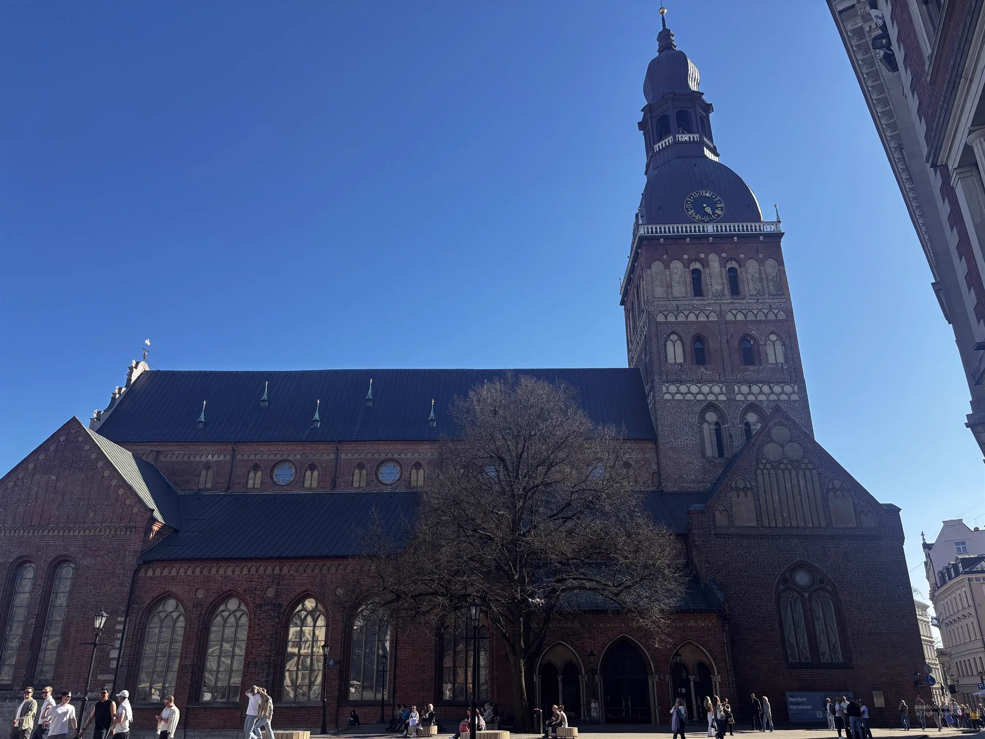 Riga Cathedral on Dome Square