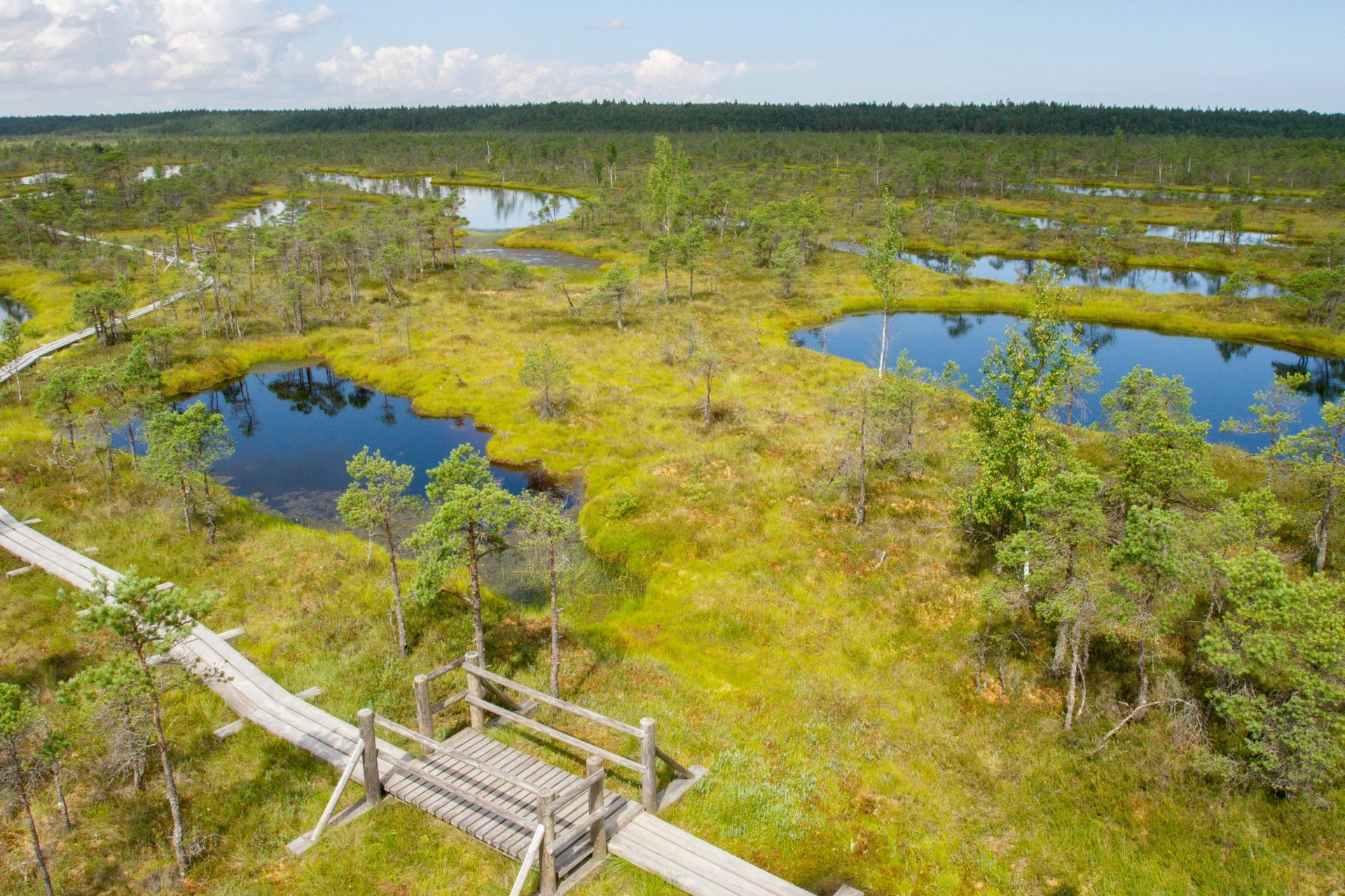 Puidust laudtee Ķemeri kõrgsoo vaikse tiigi ääres