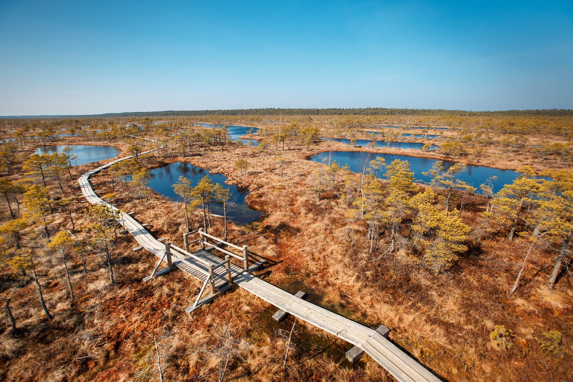 Suure Ķemeri raba laudtee linnuvaates tumedate peeglveekogude vahel, Ķemeri rahvuspark, Läti